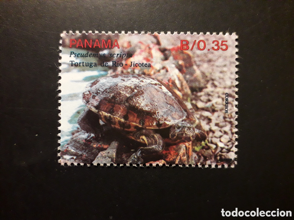 Stamps: PANAM&Aacute; YVERT 1068 SELLO SUELTO NUEVO *** 1990 FAUNA, REPTILES, TORTUGA PEDIDO M&Iacute;NIMO 3&euro;