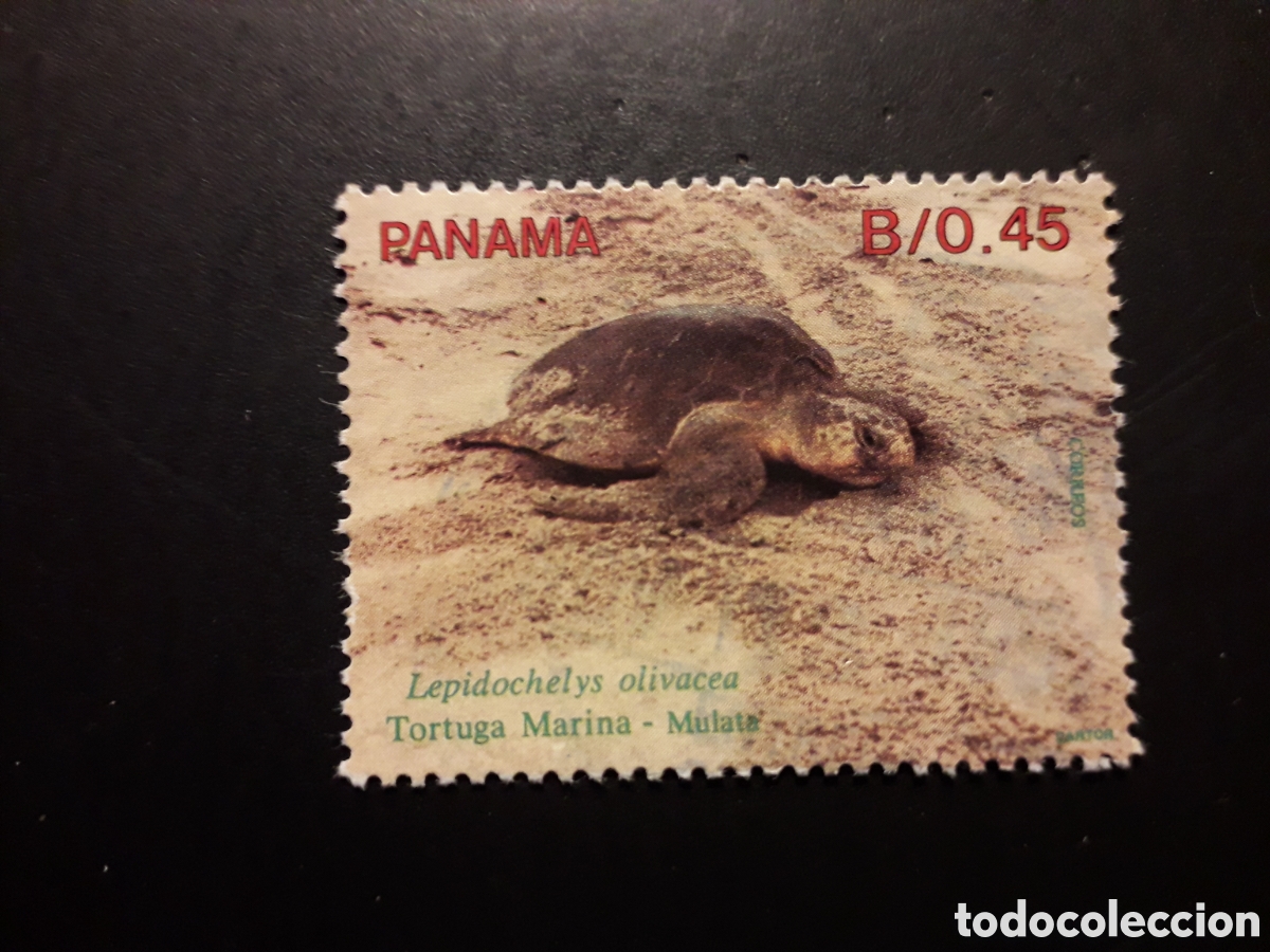 Stamps: PANAM&Aacute; YVERT 1069 SELLO SUELTO NUEVO CON CHARNELA 1990 FAUNA, REPTILES, TORTUGA PEDIDO M&Iacute;NIMO 3&euro;