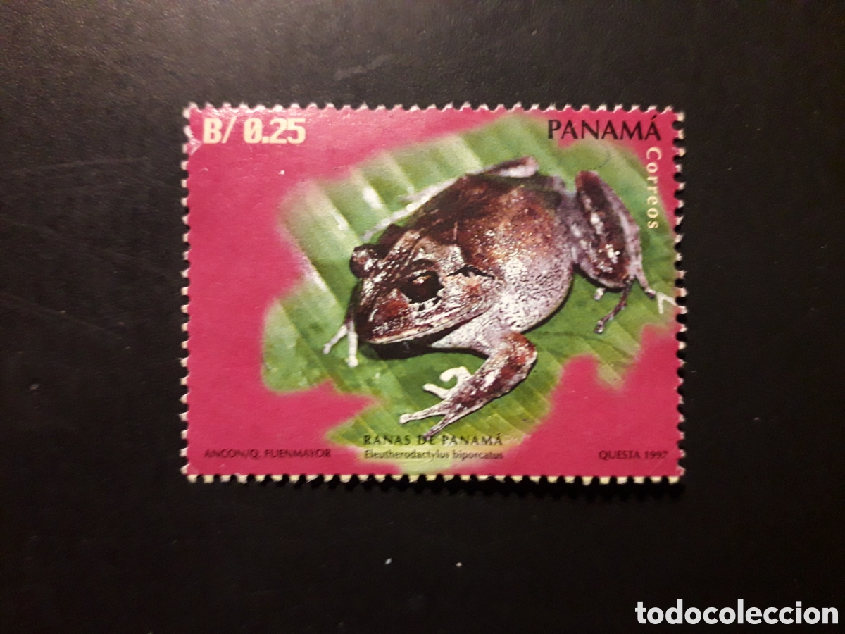 Sellos: PANAM&Aacute; YVERT 1142 SELLO SUELTO USADO 1997 FAUNA, ANFIBIOS, RANAS PEDIDO M&Iacute;NIMO 3&euro;