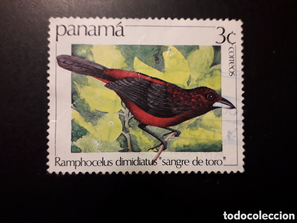 Sellos: PANAM&Aacute; YVERT 899 SELLO SUELTO USADO 1981 FAUNA AVES PEDIDO M&Iacute;NIMO 3&euro;