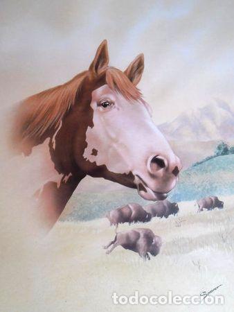 Cine: laminas caballos 40x50cm - Foto 1