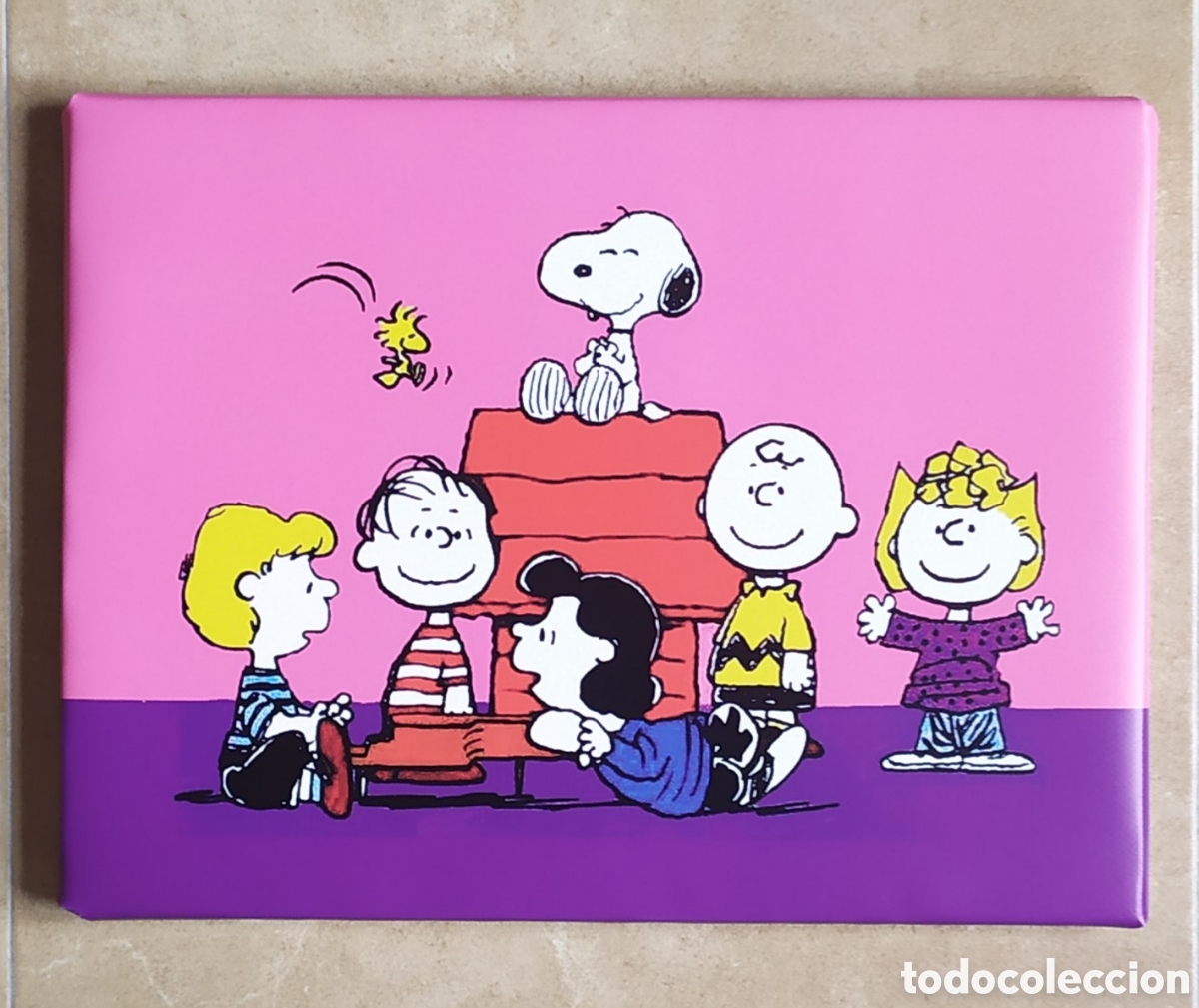 Cine: Cuadro personajes SNOOPY - Foto 1