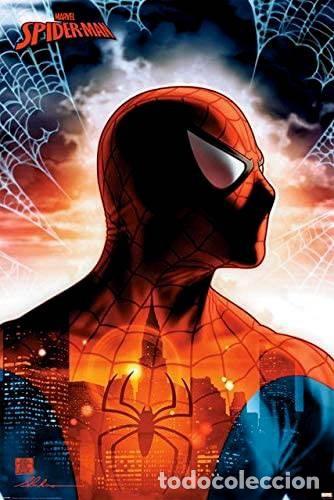 Cine: Poster Spiderman - Marvel Comics (POSTER 91.5x61) - Foto 1