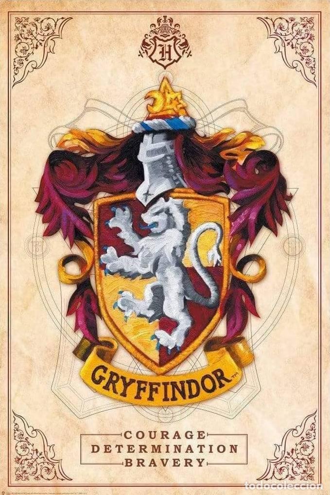 Cine: Poster Gryffindor - Harry Potter (POSTER 91.5x61)