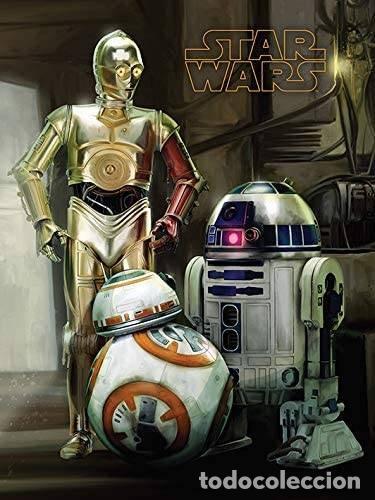 Cinema: Lienzo Canvas Droides - Star Wars (Episodio 7) (30X40)