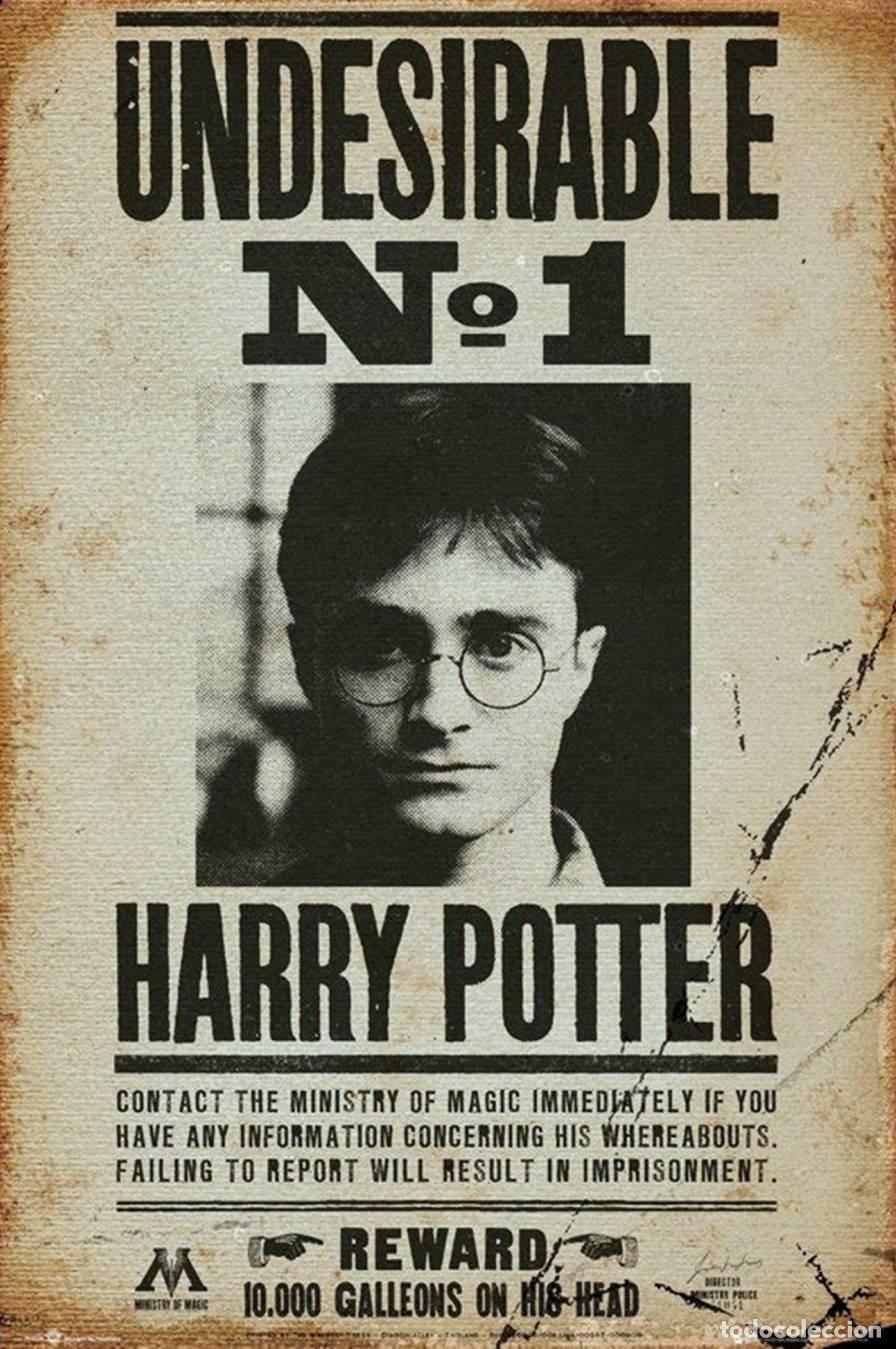 Cinema: Poster Undesirable N&deg;1 - Harry Potter (POSTER 91.5x61)