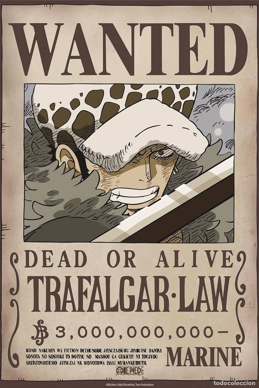 Cin&eacute;ma: Poster Wanted Law Wano - One Piece (POSTER 52x38)