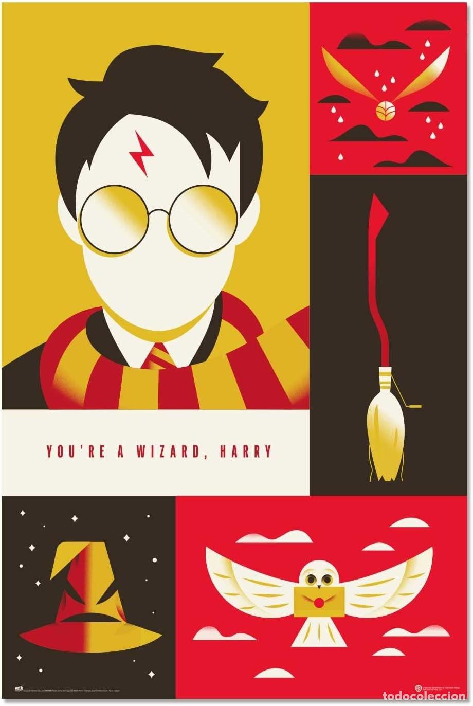 Cinema: Poster 100 Aniversario - Harry Potter (POSTER 61 x 91,5)
