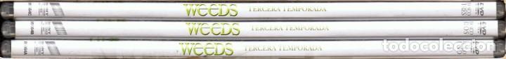 Series de TV: WEEDS TERCERA TEMPORADA ( 3 DISCOS) - Foto 2