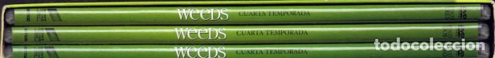Series de TV: WEEDS CUARTA TEMPORADA ( 3 DVD) - Foto 2