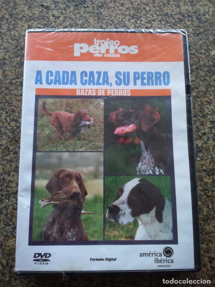 Serie di TV: DVD -- A CADA CAZA, SU PERRO - RAZAS DE PERRO -- NUEVO --