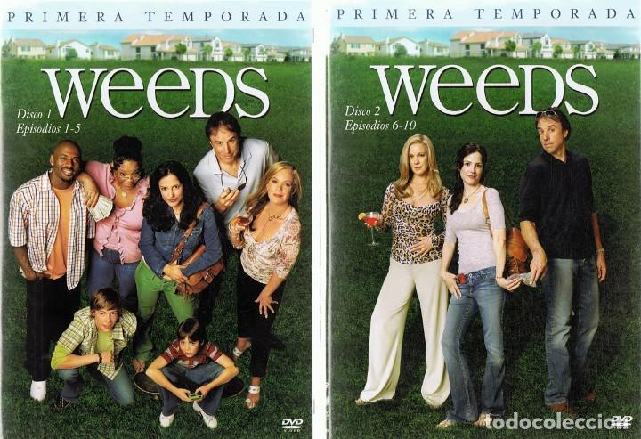 Series de TV: WEEDS PRIMERA TEMPORADA - Foto 2