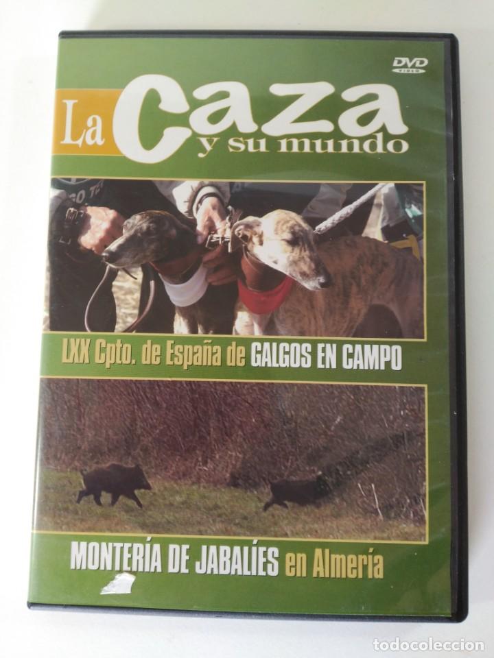 Series de TV: DVD la caza y su mundo