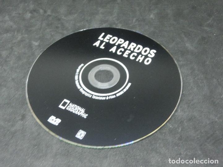 Series de TV: DVD - DOCUMENTAL - NATIONAL GEOGRAPHIC - LEOPARDOS AL ACECHO - Foto 3