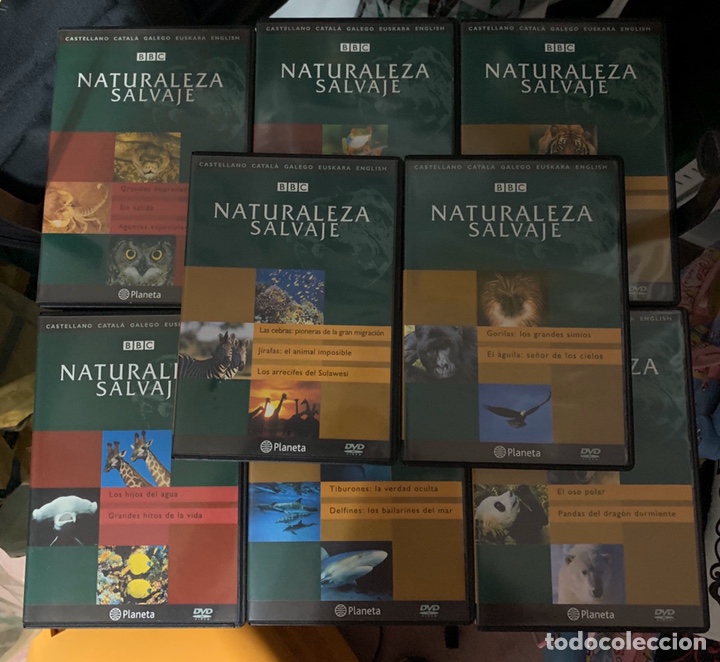 Series de TV: NATURALEZA SALVAJE BBC - Foto 2