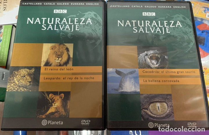 Series de TV: NATURALEZA SALVAJE BBC - Foto 1