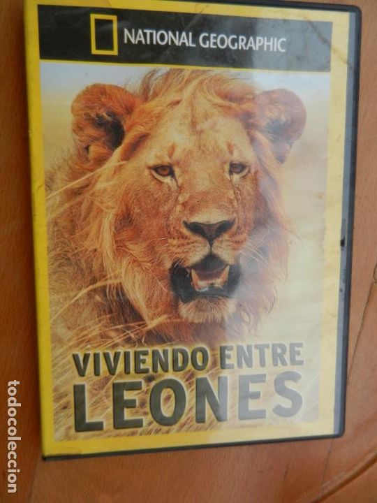 S&eacute;ries TV: VIVIENDO ENTRE LEONES - DVD - NATIONAL GEOGRAPHIC