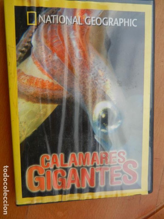 S&eacute;ries TV: CALAMARES GIGANTES - DVD - NATIONAL GEOGRAPHIC