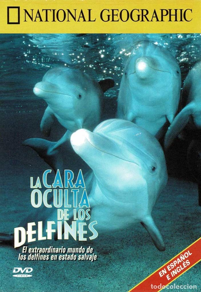 Fernsehserien: National Geographic. La cara oculta de los delfines. DVD