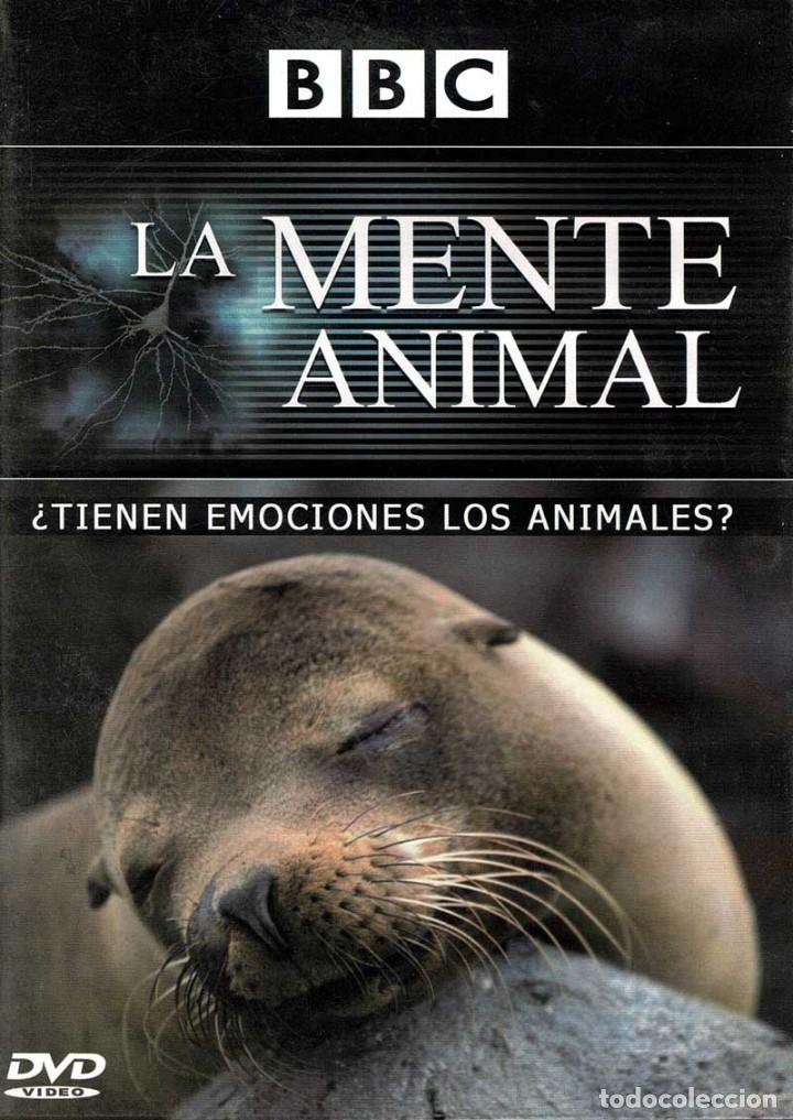 Fernsehserien: La mente animal &iquest;tienen emociones los animales?. DVD