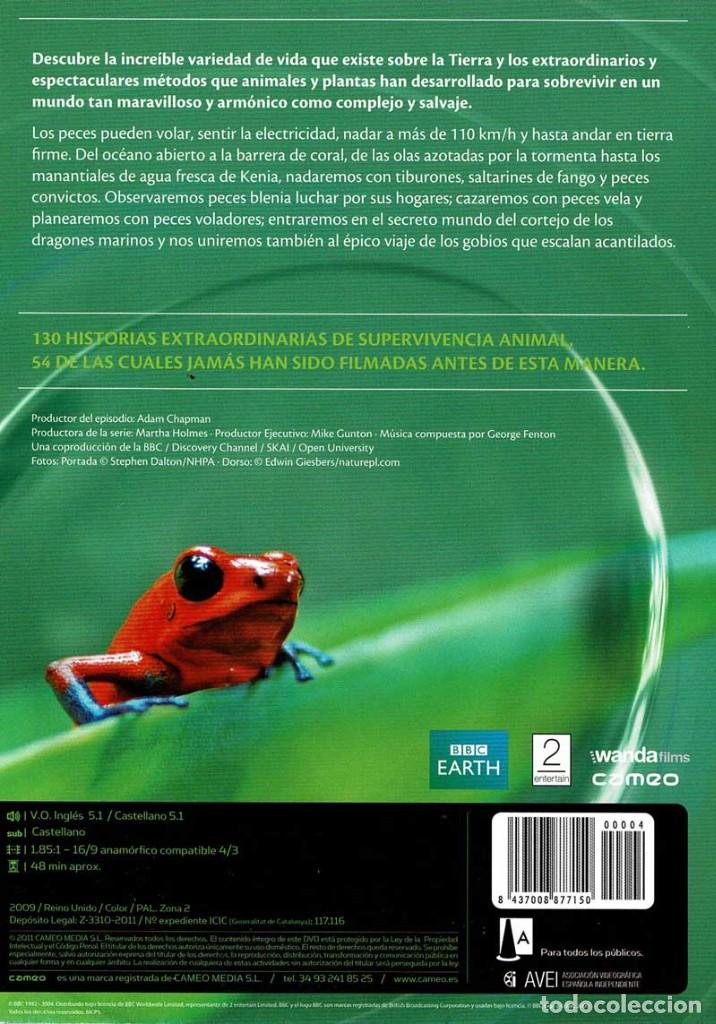 Series de TV: BBC Earth Life. Peces. DVD - Foto 2