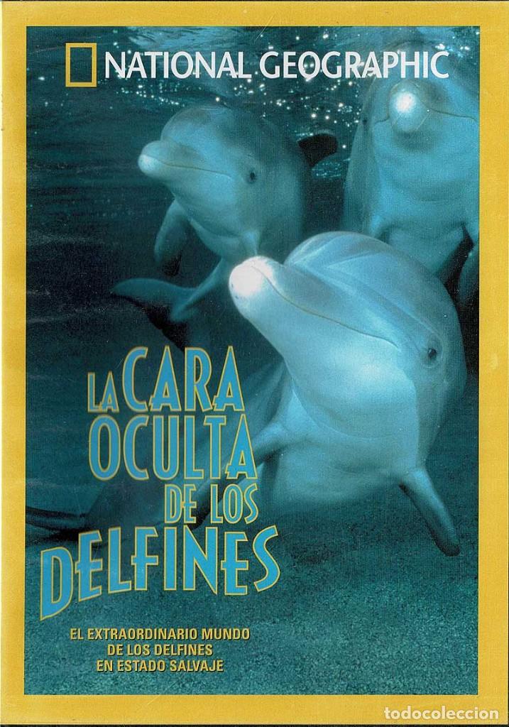 Serie di TV: La cara oculta de los delfines. DVD (precintado)