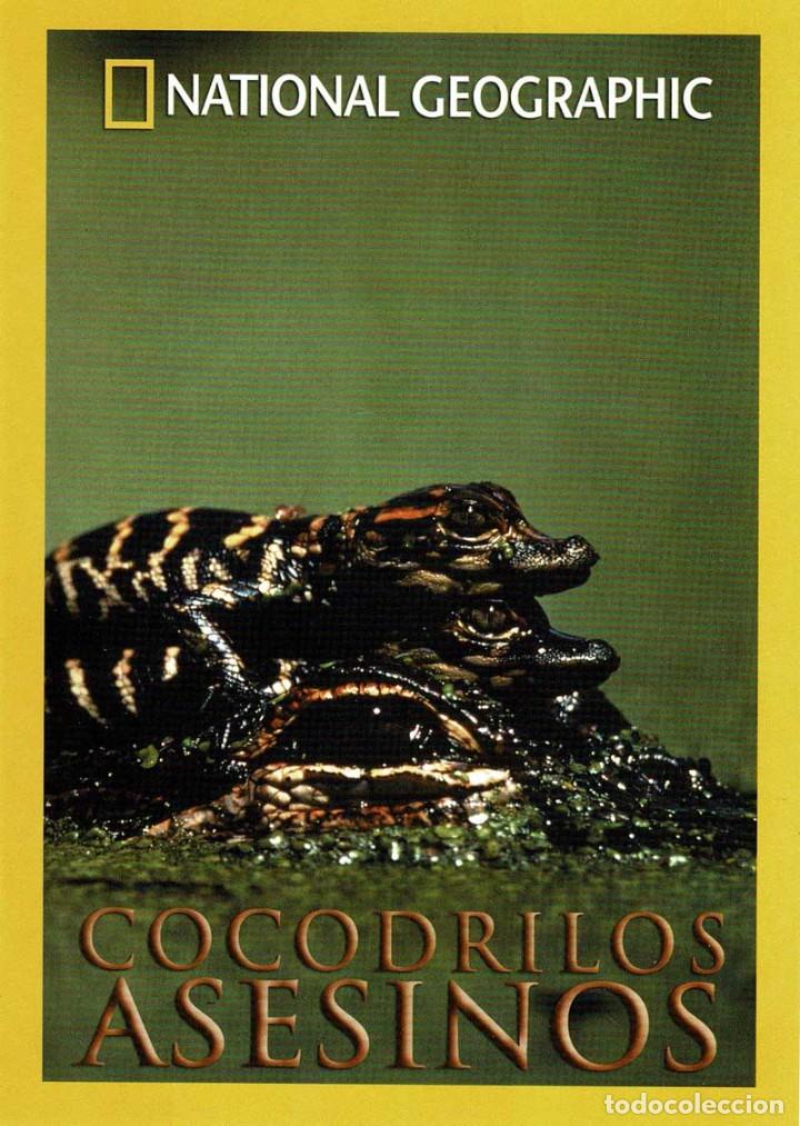 S&eacute;ries TV: National Geographic. Cocodrilos asesinos. DVD