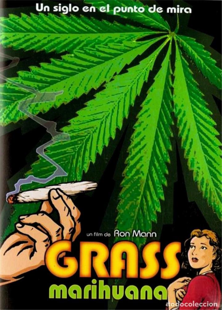Series de TV: Grass (Marihuana) - Foto 1