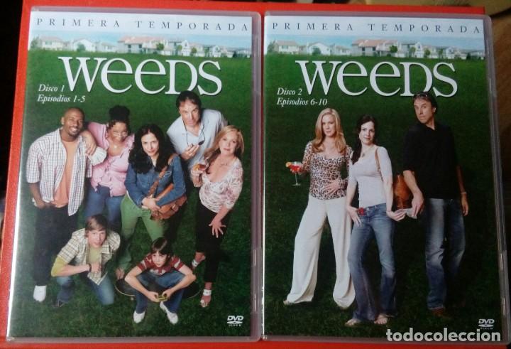 Series de TV: WEEDS - PRIMERA TEMPORADA - 2 DISCOS - Foto 3
