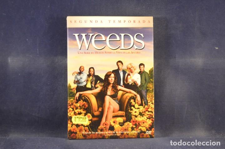 Series de TV: WEEDS - SEGUNDA TEMPORADA - 2 DVD - Foto 1