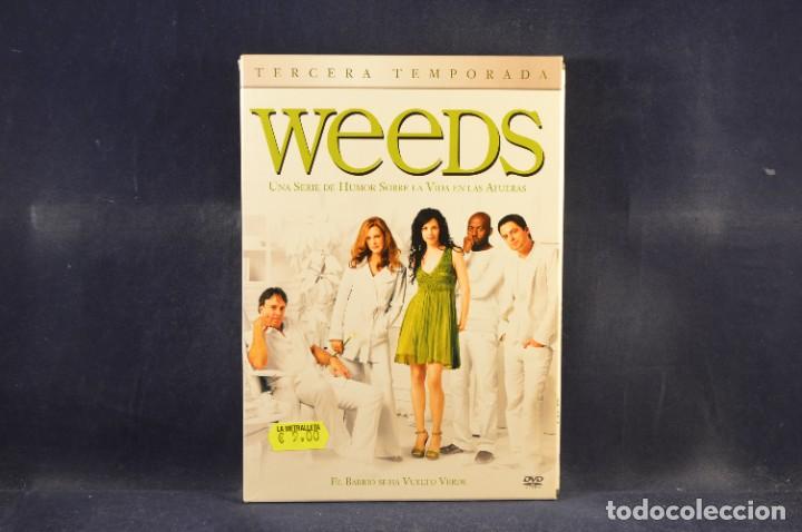 Series de TV: WEEDS - TERCERA TEMPORADA - 3 DVD - Foto 1