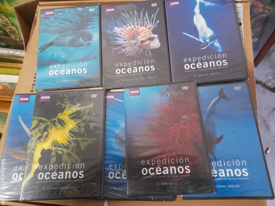 Fernsehserien: 8 DVD, Expedici&oacute;n Oc&eacute;anos, precintados