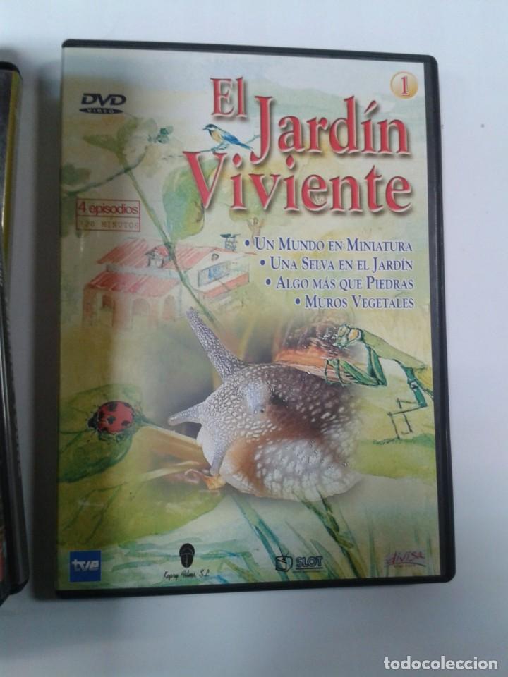 Series de TV: EL JARD&Iacute;N VIVIENTE. VOLUMEN 1. DVD - Foto 1