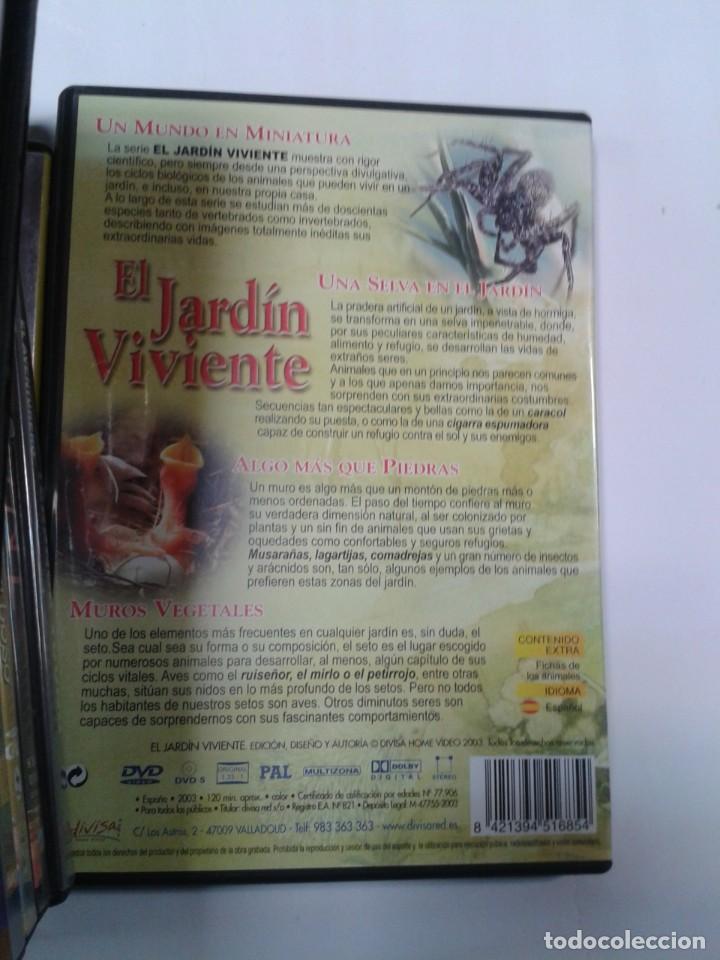 Series de TV: EL JARD&Iacute;N VIVIENTE. VOLUMEN 1. DVD - Foto 2