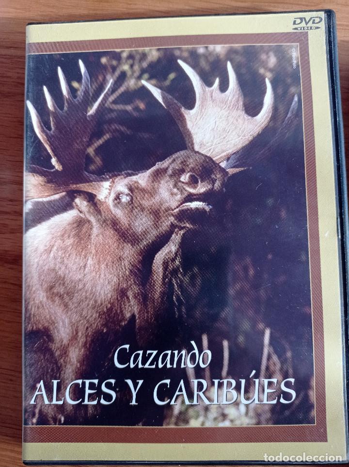 Series de TV: dvd cazando alces y caribues - Foto 1