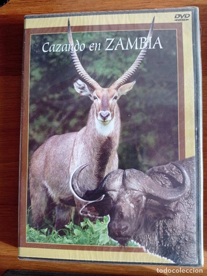 Series de TV: dvd cazando en zambia - Foto 1