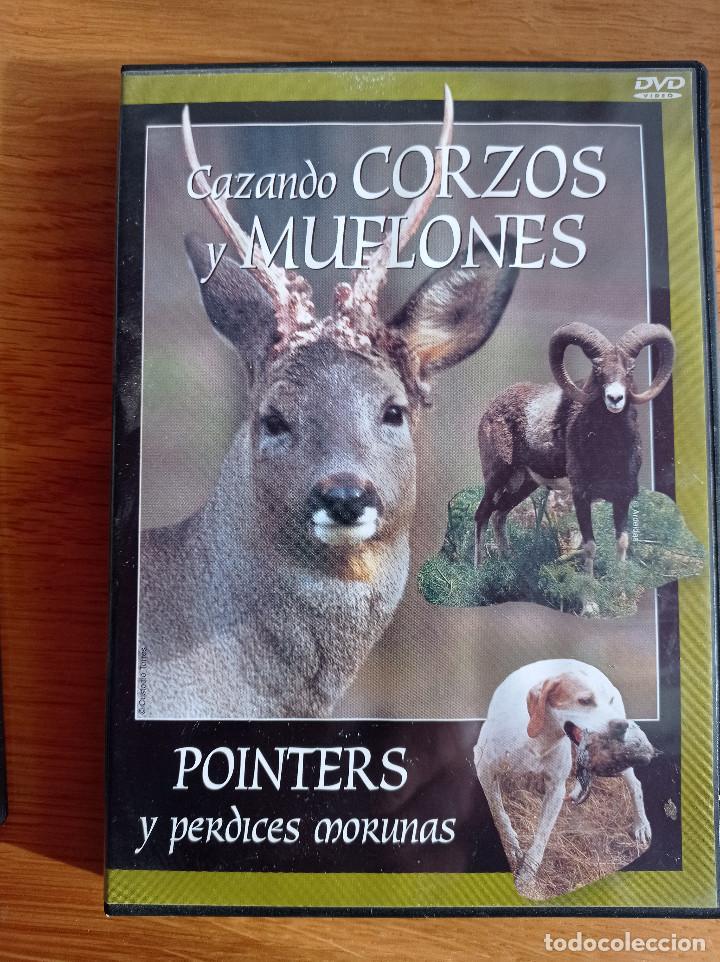 Series de TV: dvd cazando corzos y muflones, pointers y perdices morunas - Foto 1