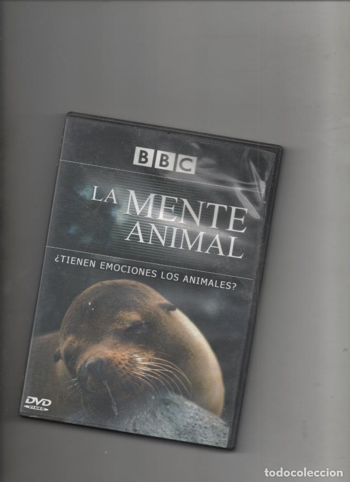 Series de TV: LA MENTE ANIMAL BBC .DVD -D2 - Foto 1