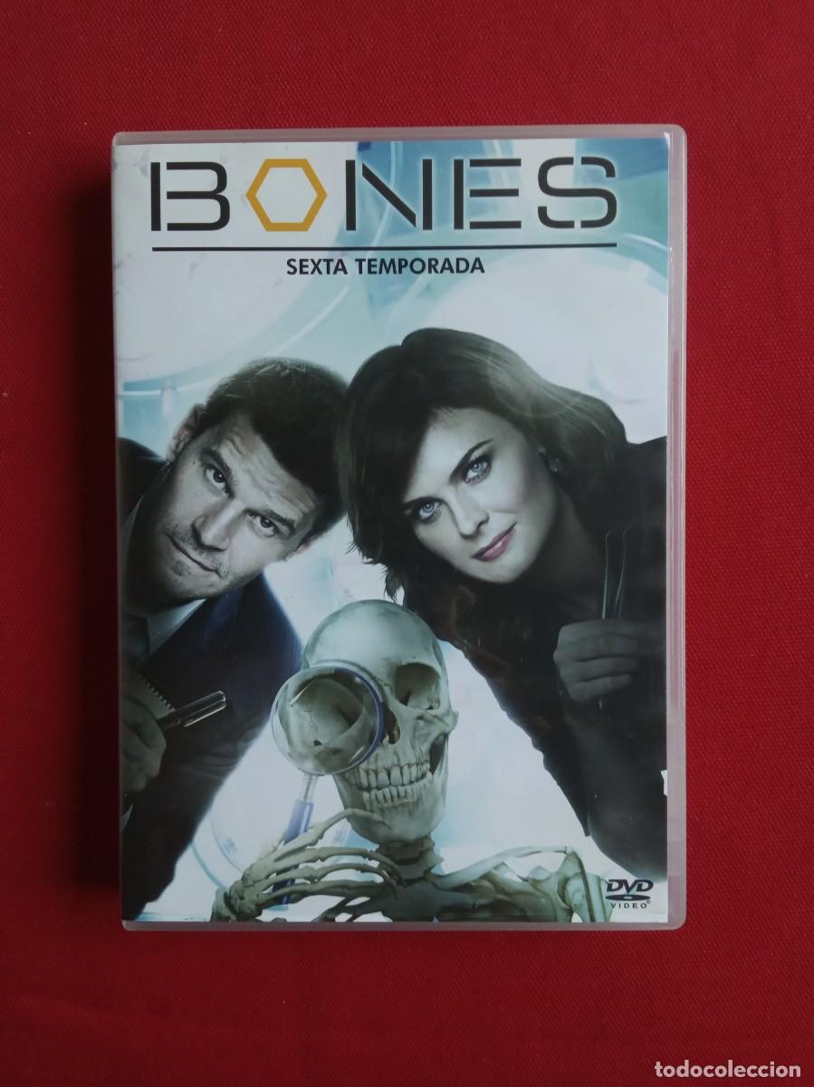 Series de TV: BONES - SEXTA TEMPORADA - Foto 1