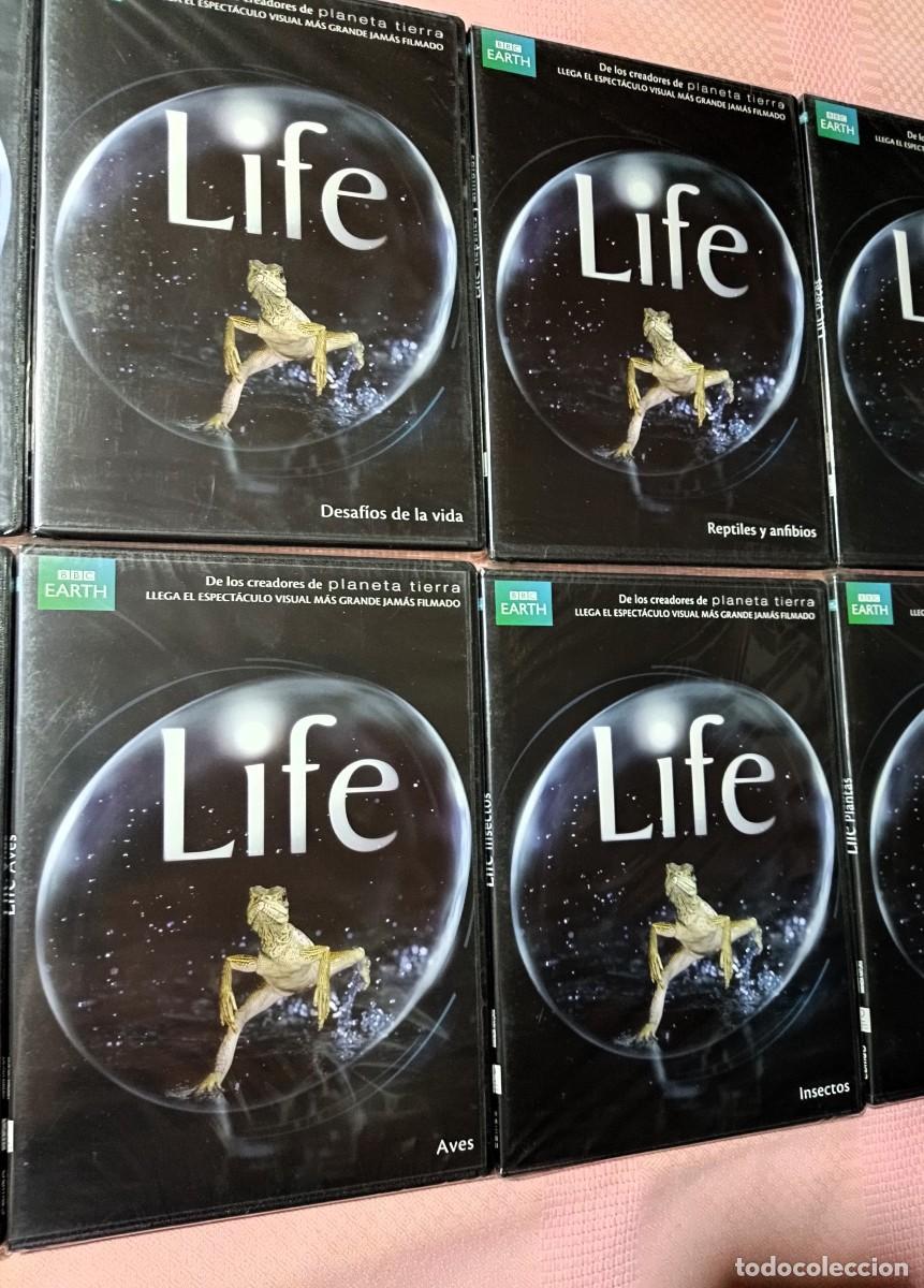 Series de TV: 10 DVD&rsquo;s LIFE DE BBC HEART - Foto 4