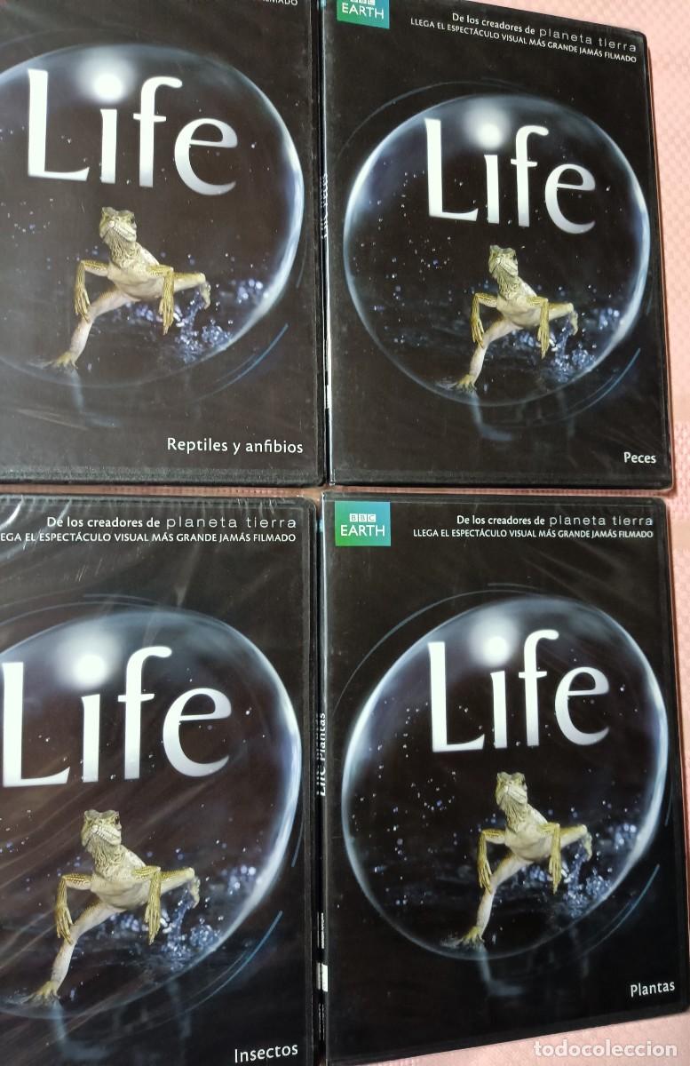 Series de TV: 10 DVD&rsquo;s LIFE DE BBC HEART - Foto 5