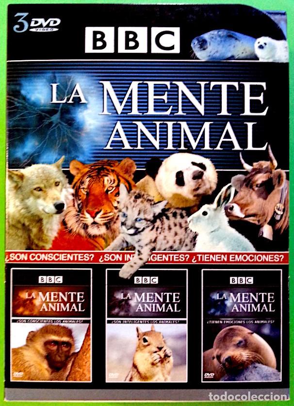 Series de TV: La mente animal &ndash; 3 DVD de la BBC - Foto 1