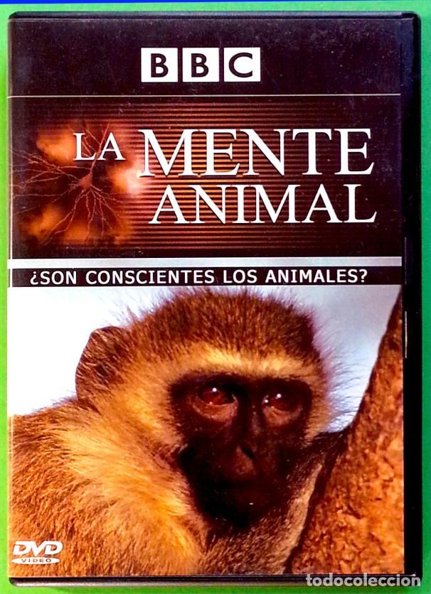 Series de TV: La mente animal &ndash; 3 DVD de la BBC - Foto 3