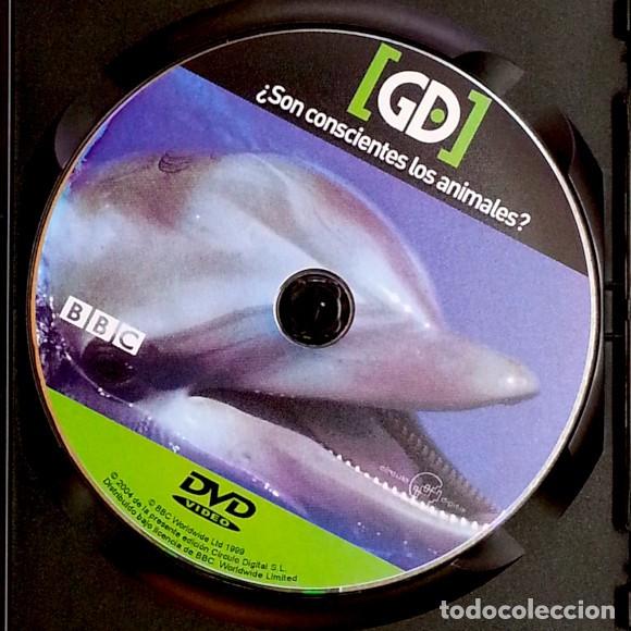 Series de TV: La mente animal &ndash; 3 DVD de la BBC - Foto 4