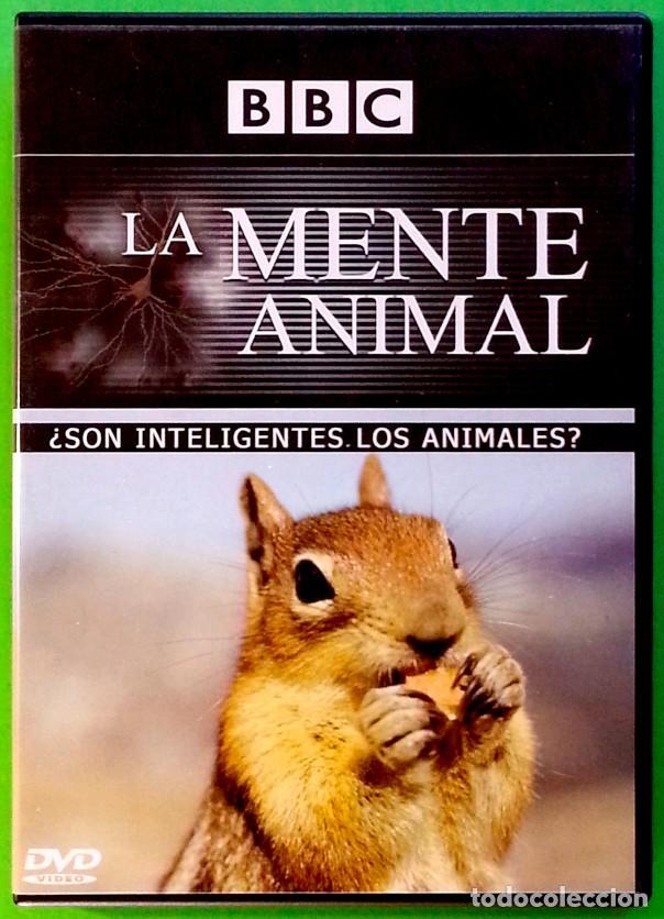 Series de TV: La mente animal &ndash; 3 DVD de la BBC - Foto 6