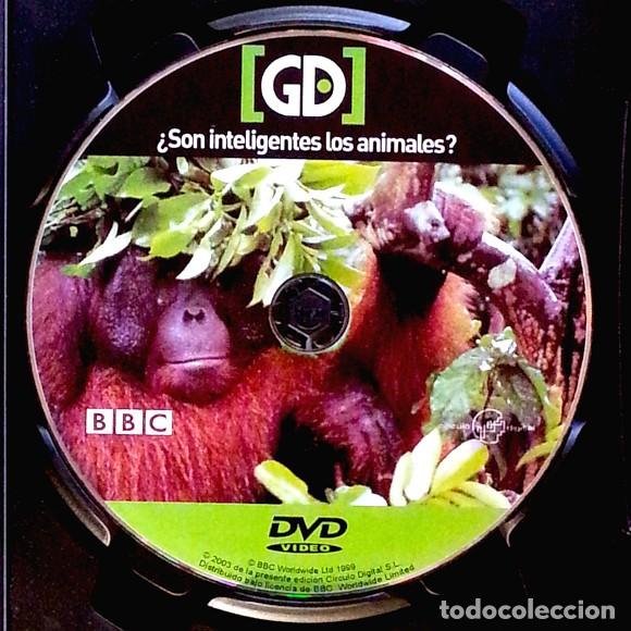 Series de TV: La mente animal &ndash; 3 DVD de la BBC - Foto 7