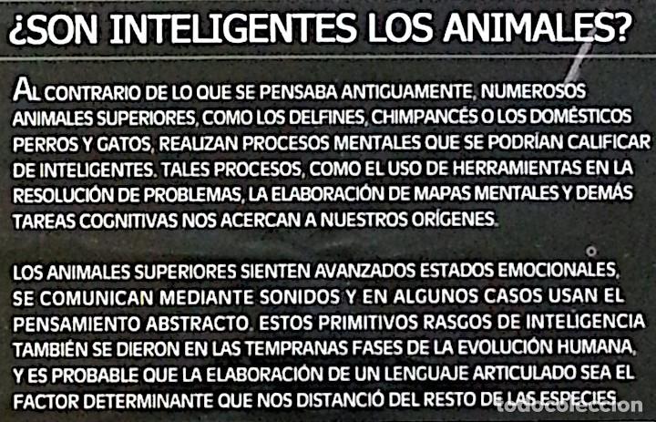 Series de TV: La mente animal &ndash; 3 DVD de la BBC - Foto 8