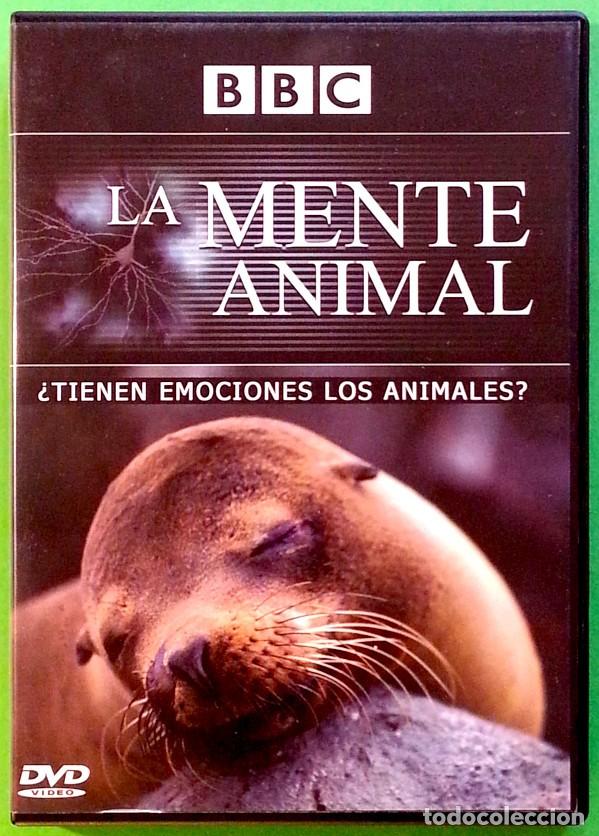 Series de TV: La mente animal &ndash; 3 DVD de la BBC - Foto 9