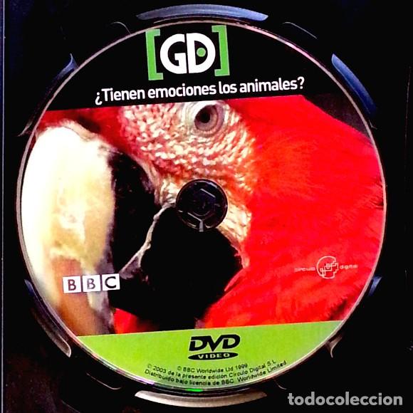 Series de TV: La mente animal &ndash; 3 DVD de la BBC - Foto 10