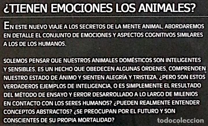 Series de TV: La mente animal &ndash; 3 DVD de la BBC - Foto 11